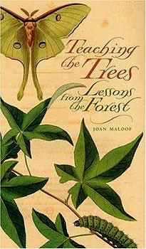 Cover photo of Teaching the Trees by Joan Maloof